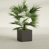 Montroy Medium Cube Square Fiberglass Planter - 24 in x 24 in x 24 in - Matte Brown - Matte Brown,24 in x 24 in x 24 in