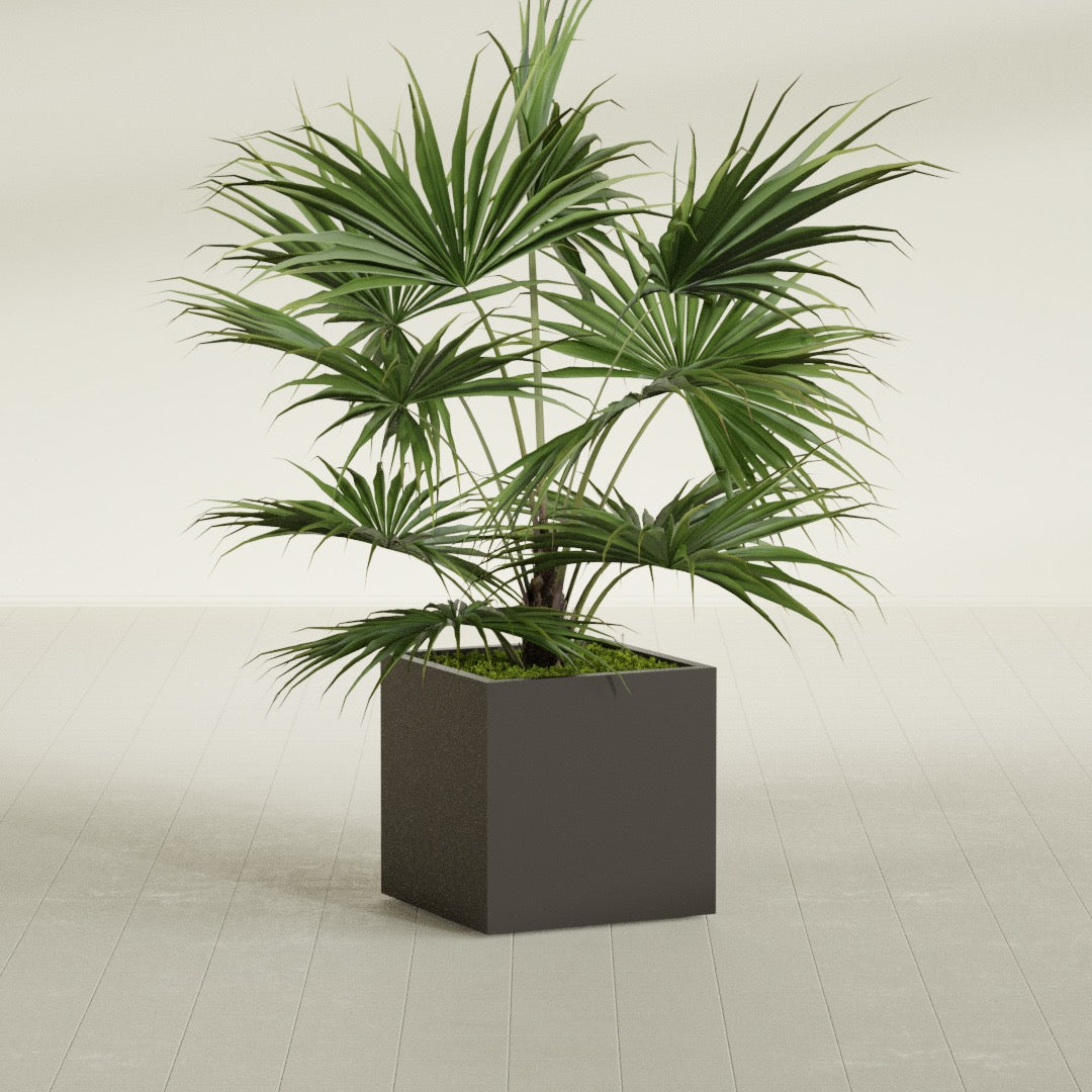 Montroy Medium Cube Square Fiberglass Planter - 24 in x 24 in x 24 in - Matte Brown - Matte Brown,24 in x 24 in x 24 in