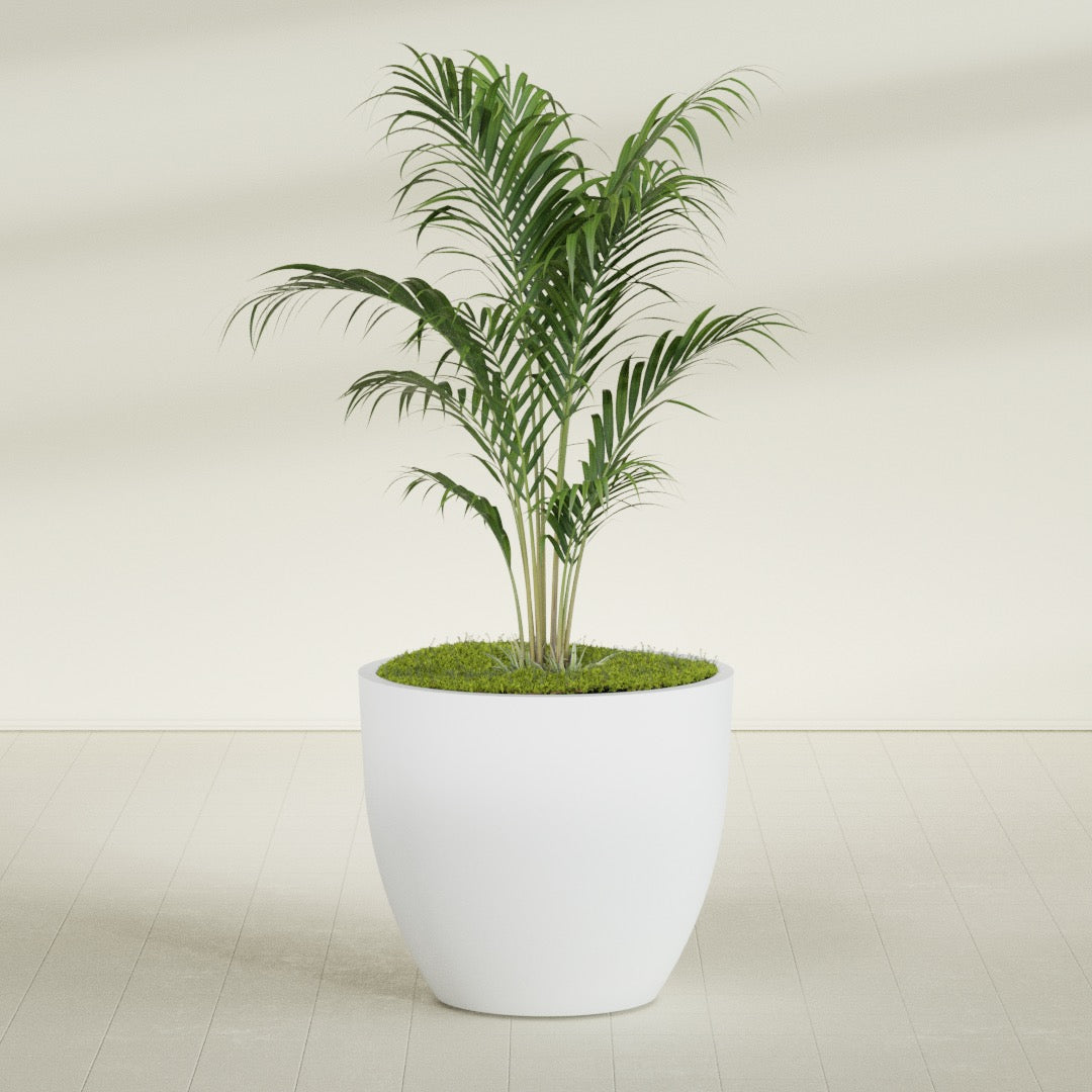 Wannsee Large Round Fiberglass Planter - 44 in x 44 in x 39 in - Gloss White - Gloss White,44 in x 44 in x 39 in