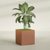 Montroy Large Cube Square Fiberglass Planter - 36 in x 36 in x 36 in - Matte Terracotta - Matte Terracotta,36 in x 36 in x 36 in