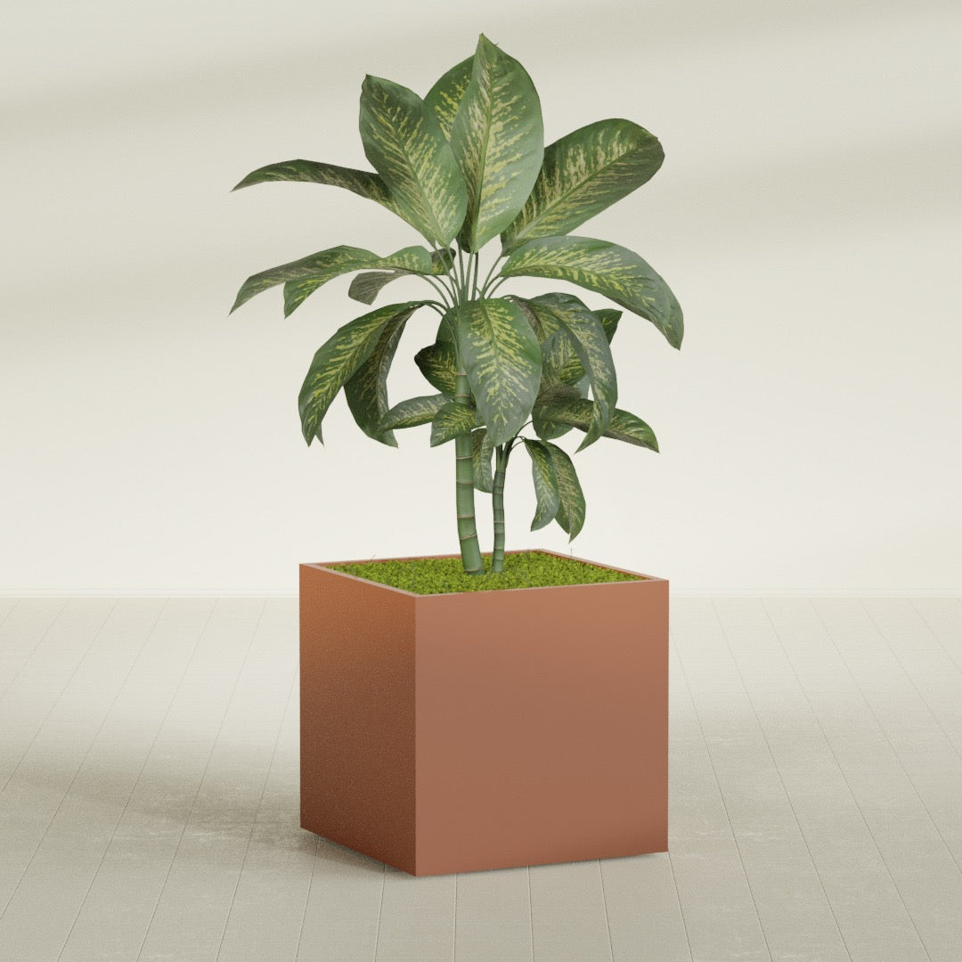 Montroy Large Cube Square Fiberglass Planter - 36 in x 36 in x 36 in - Matte Terracotta - Matte Terracotta,36 in x 36 in x 36 in