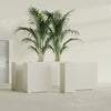 Perth Extra Large Long Rectangle Fiberglass Planter - 48 in x 16 in x 42 in - Satin Beige - Satin Beige,48 in x 16 in x 42 in