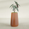 Saigon Large Tapered Round Planter - 16 in x 21 in x 36 in - Matte Terracotta - Matte Terracotta,16.4 in x 20.7 in x 36 in