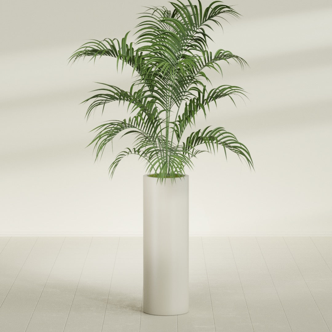 Corry Large Tall Cylinder Fiberglass Planter - 12 in x 12 in x 36 in - Satin Beige - Satin Beige,30 in x 30 in x 32 in