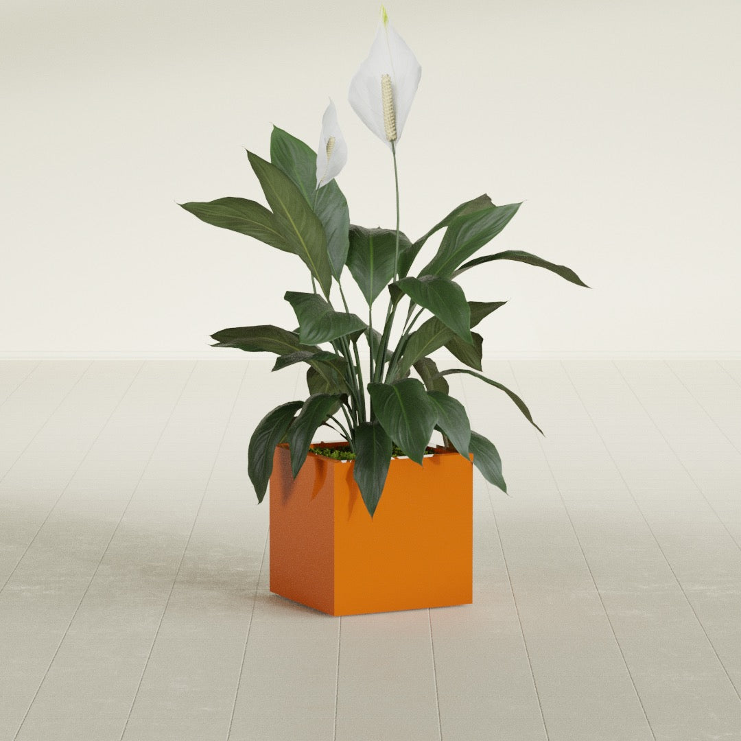 Montroy Small Cube Square Fiberglass Planter - 16 in x 16 in x 16 in - Gloss Tangerine - Gloss Tangerine,16 in x 16 in x 16 in