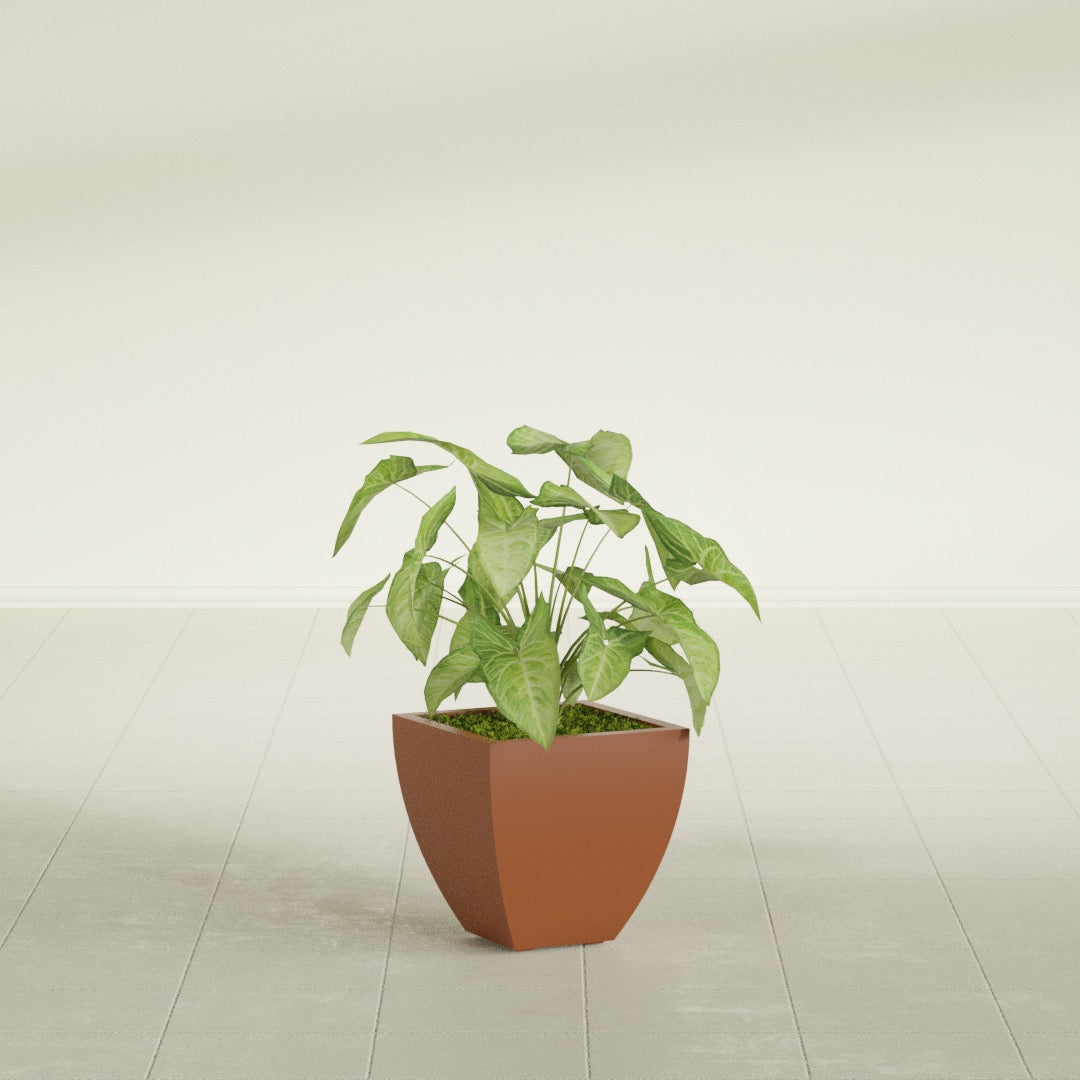 Lima Small Tapered Square Fiberglass Planter - 12 in x 12 in x 12 in - Matte Terracotta - Matte Terracotta,12 in x 12 in x 12 in