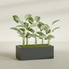 Torino Extra Large Wide Rectangle Fiberglass Planter - 48 in x 24 in x 18 in - Matte Charcoal - Matte Charcoal,48 in x 24 in x 18 in