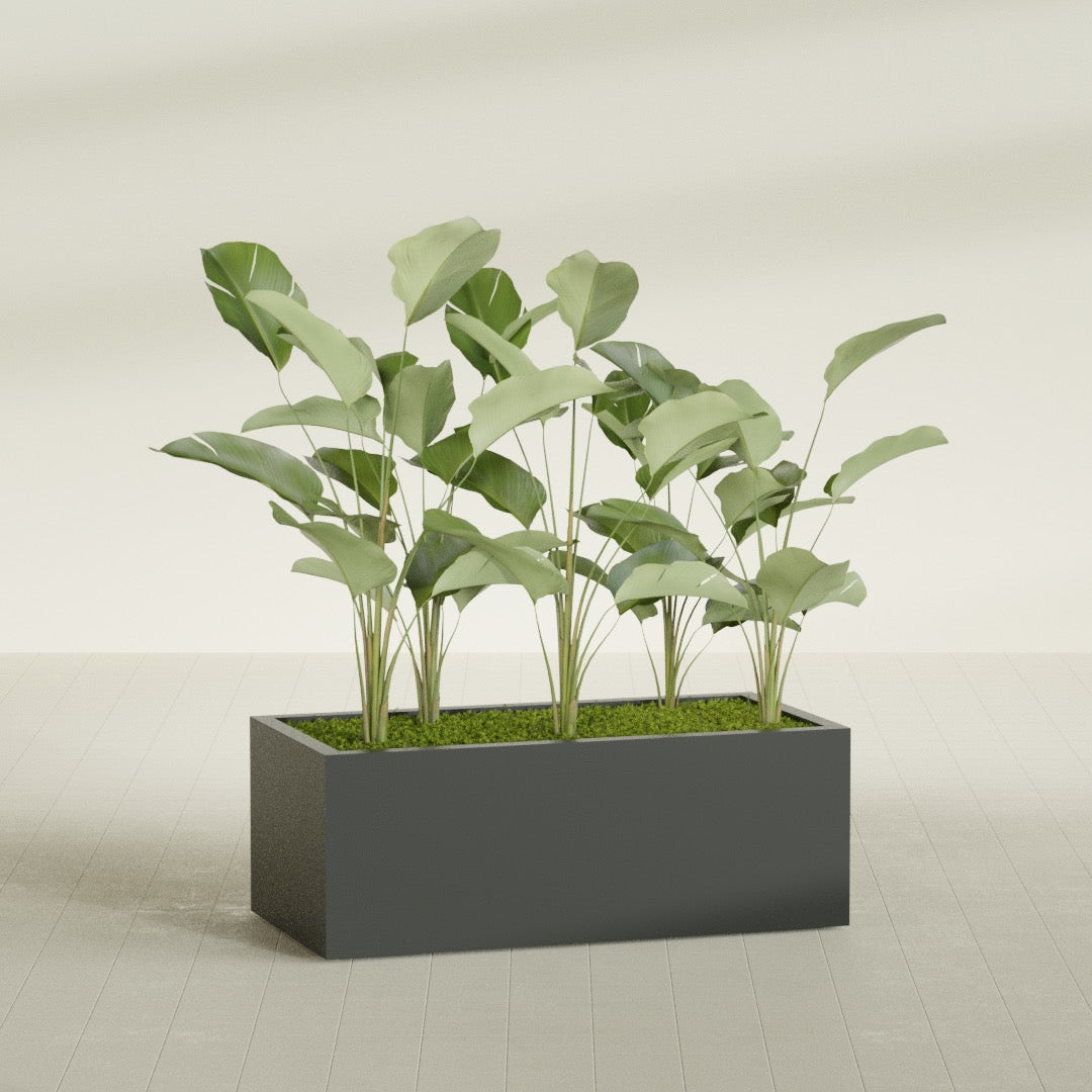 Torino Extra Large Wide Rectangle Fiberglass Planter - 48 in x 24 in x 18 in - Matte Charcoal - Matte Charcoal,48 in x 24 in x 18 in