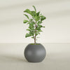 Globe Medium Sphere Fiberglass Planter - 24 in x 24 in x 19 in - Metallic Gunmetal - Metallic Gunmetal,24 in x 24 in x 20 in