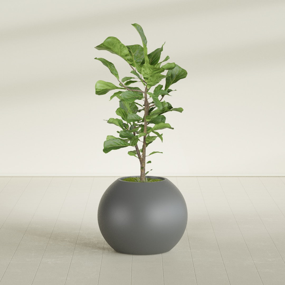 Globe Medium Sphere Fiberglass Planter - 24 in x 24 in x 19 in - Metallic Gunmetal - Metallic Gunmetal,24 in x 24 in x 20 in