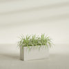 Hollywood Large Narrow Rectangle Fiberglass Planter - 36 in x 12 in x 24 in - Satin Beige - Satin Beige,36 in x 12 in x 24 in