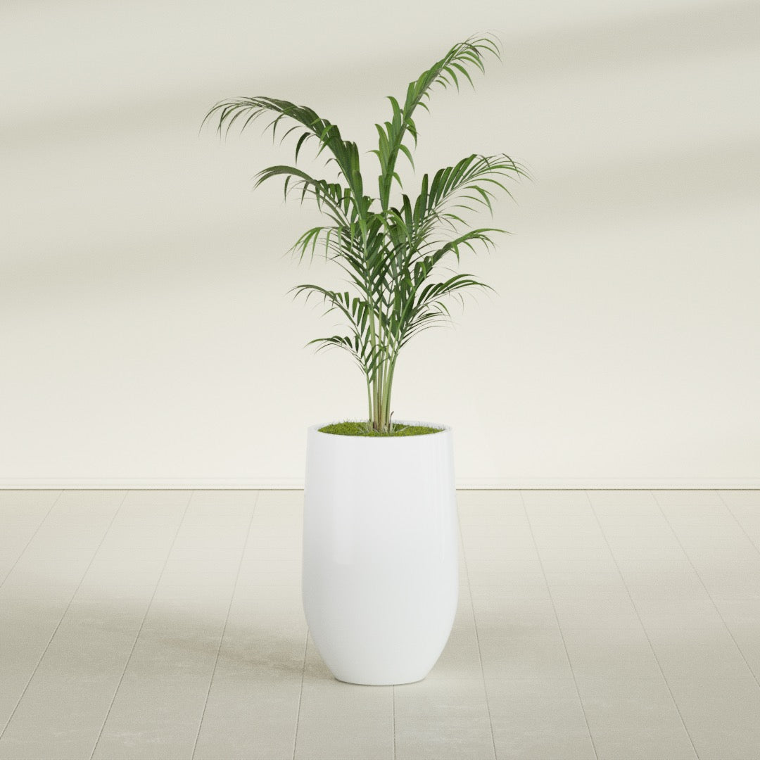 Westfield - 15in diam. x 24in - Matte White - Matte White,15 in diam. x 24 in H