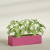Reade Small Tabletop Rectangle Fiberglass Planter - 18 in x 6.5 in x 5 in - Gloss Pink Violet - Gloss Pink Violet,18.5 in x 6.5 in x 5 in