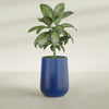 Tall Hayden Medium Round Fiberglass Planter - 15 in x 15 in x 23 in - Matte Cobalt Blue - Matte Cobalt Blue,15 in x 15 in x 23 in
