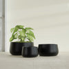 Short Hayden Medium Round Fiberglass Planter - 20 in x 20 in x 10 in - Matte Black - Matte Black,20 in x 20 in x 10 in
