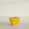 Lima Small Tapered Square Fiberglass Planter - 16 in x 16 in x 16 in - Gloss Saffron - Gloss Saffron,16 in x 16 in x 16 in