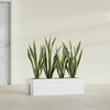 Tiergarden Large Long Over The Railing Rectangle Fiberglass Planter - 36 in x 12 in x 10 in - Matte White - Matte White,36 in x 12 in x 10 in