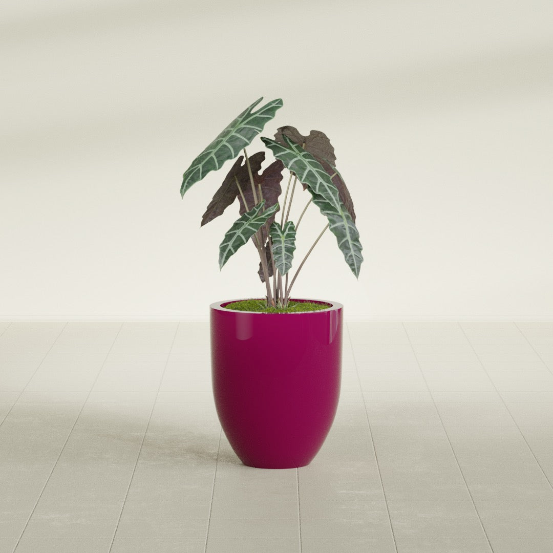 Valencia Small Round Fiberglass Planter - 15 in x 15 in x 18 in - Gloss Eggplant - Gloss Eggplant,15 in x 15 in x 18 in