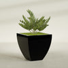 Lima Large Tapered Square Fiberglass Planter - 30 in x 30 in x 30 in - Gloss Black - Gloss Black,30 in x 30 in x 30 in
