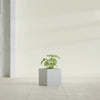 Monaco Square - 7in x 7in x 7 - Metallic Silver - Metallic Silver,7 in x 7 in x 7 in