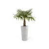 Amsterdam High Large Tall Round Planter - 19.5 in x 19.5 in x 35.5 in - White Grey - White Grey,19.5 in x 19.5 in x 35.5 in,Planter Only
