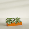 Salon Large Tall Rectangle Fiberglass Planter - 36 in x 8 in x 8 in - Gloss Tangerine - Gloss Tangerine,36 in x 8 in x 8 in