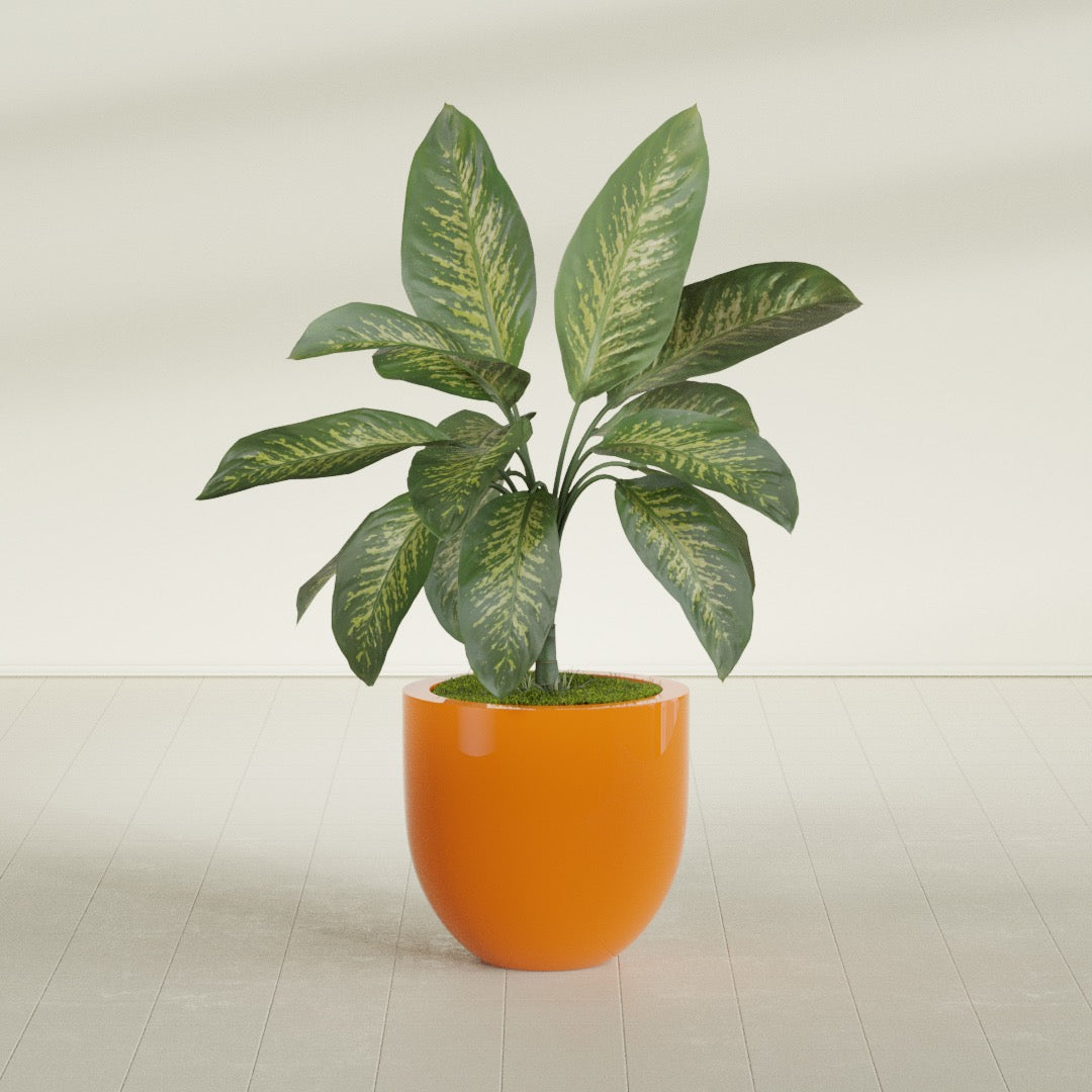 Alzira Medium Round Fiberglass Planter - 23 in x 23 in x 22 in - Gloss Tangerine - Gloss Tangerine,23 in x 23 in x 22 in