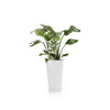 Rotterdam Mid High Medium Square Planter - 12.25 in x 12.25 in x 22 in - Pure White - Pure White,12.25 in x 12.25 in x 22 in,Planter Only