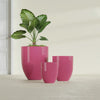 Valencia Small Round Fiberglass Planter - 15 in x 15 in x 18 in - Gloss Pink Violet - Gloss Pink Violet,15 in x 15 in x 18 in