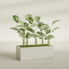 Torino Extra Large Wide Rectangle Fiberglass Planter - 48 in x 24 in x 18 in - Satin Beige - Satin Beige,48 in x 24 in x 18 in