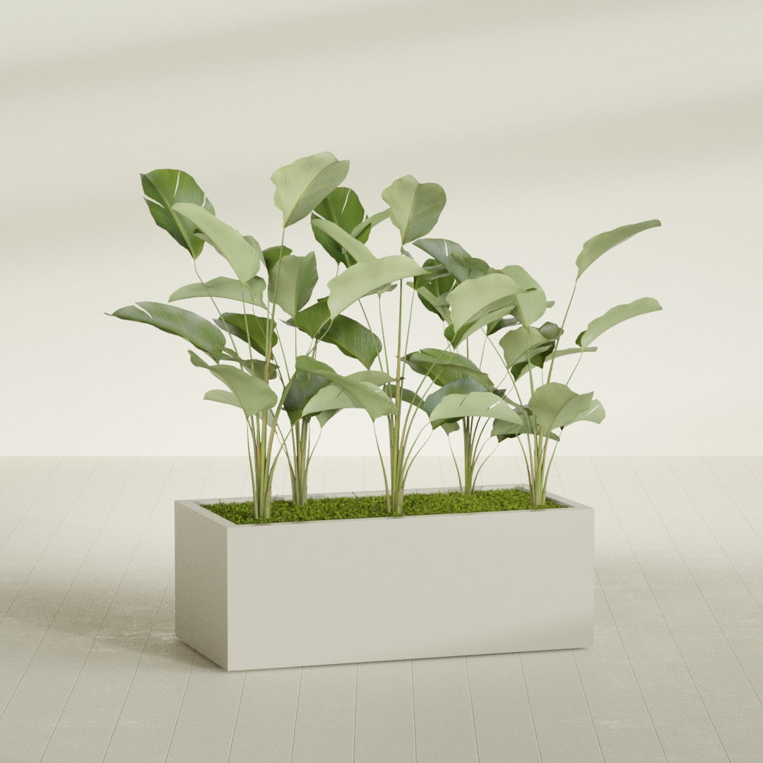 Torino Extra Large Wide Rectangle Fiberglass Planter - 48 in x 24 in x 18 in - Satin Beige - Satin Beige,48 in x 24 in x 18 in