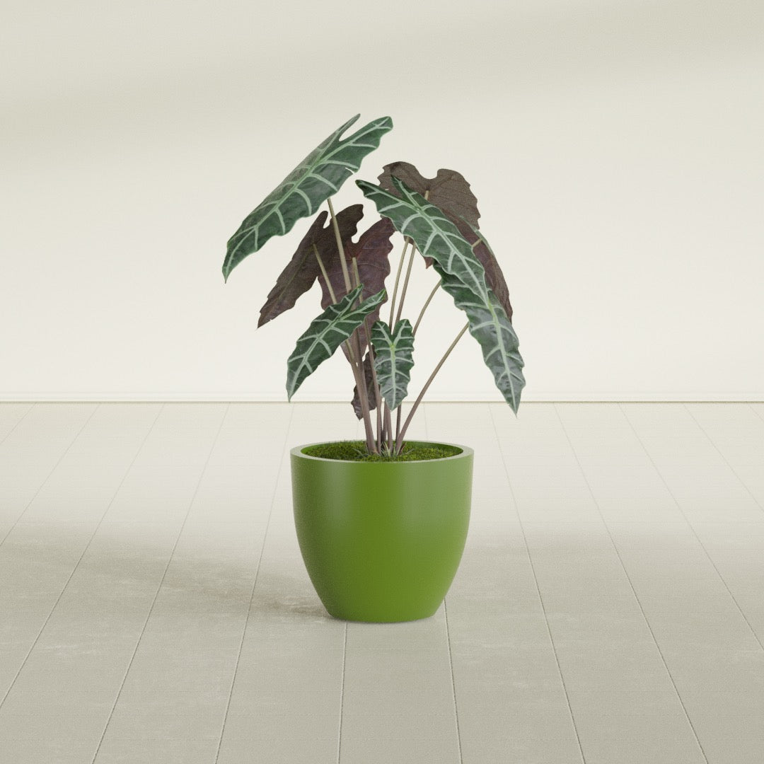 Wannsee Medium Round Fiberglass Planter - 22 in x 22 in x 19 in - Satin Green - Satin Green,22 in x 22 in x 19 in