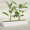Cuba Extra Large Long Rectangle Fiberglass Planter - 72 in x 14 in x 12 in - Matte White - Matte White,72 in x 14 in x 12 in
