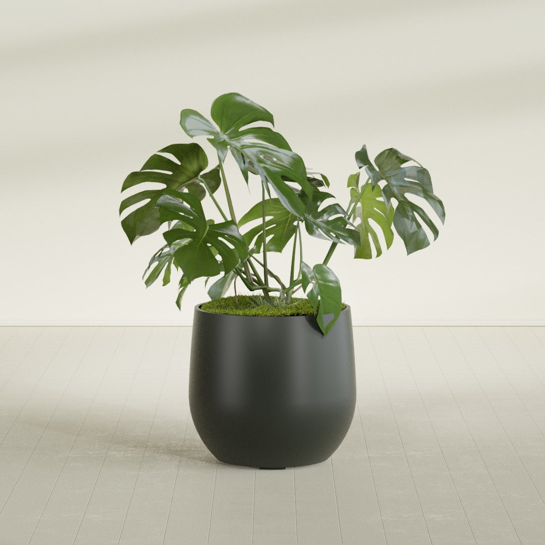 Westfield - 27in diam. x 25in - Matte Charcoal - Matte Charcoal,27 in diam. x 25 in H