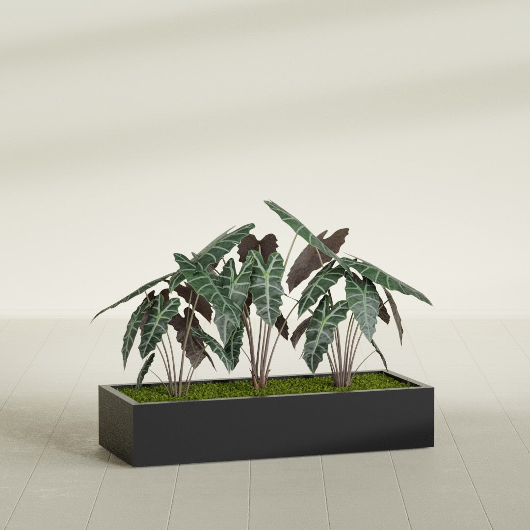 Antwerp Extra Large Long Rectangle Fiberglass Planter - 60 in x 24 in x 12 in - Matte Black - Matte Black,60 in x 24 in x 12 in