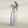 Saigon Large Tapered Round Planter - 16 in x 21 in x 36 in - Metallic Silver - Metallic Silver,16.4 in x 20.7 in x 36 in
