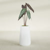 Saigon Large Tapered Round Planter - 14 in x 14 in x 30 in - Matte White - Matte White,13.7 in x 13.7 in 30 in