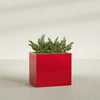 Brisbane Large Rectangle Fiberglass Planter - 36 in x 24 in x 32 in - Gloss Red - Gloss Red,36 in x 24 in x 32 in