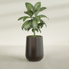 Tall Hayden Medium Round Fiberglass Planter - 15 in x 15 in x 23 in - Matte Brown - Matte Brown,15 in x 15 in x 23 in