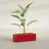 Cuba Large Long Rectangle Fiberglass Planter - 36 in x 14 in x 12 in - Gloss Red - Gloss Red,36 in x 14 in x 12 in