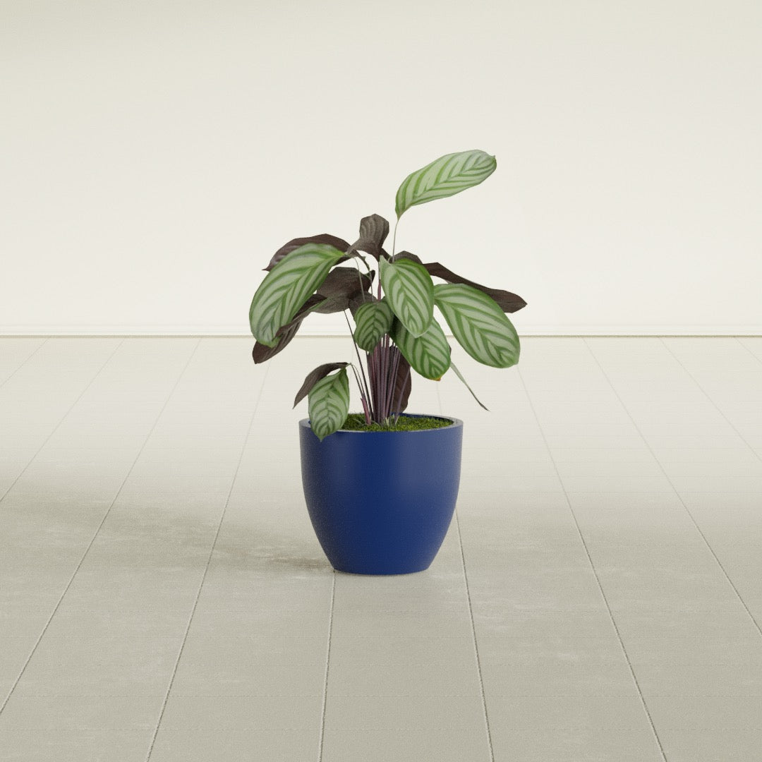 Wannsee Small Round Fiberglass Planter - 15 in x 15 in x 13 in - Matte Cobalt Blue - Matte Cobalt Blue,15 in x 15 in x 13 in