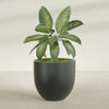 Alzira Large Round Fiberglass Planter - 36 in x 36 in x 34 in - Matte Charcoal - Matte Charcoal,36 in x 36 in x 34 in