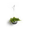 Hanging Brussels Small Bowl Planter - 13 in x 13 in x 6.5 in - Grey - Grey,13 in x 13 in x 6.5 in