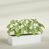 Reade Small Tabletop Rectangle Fiberglass Planter - 18 in x 6.5 in x 5 in - Matte White - Matte White,18.5 in x 6.5 in x 5 in