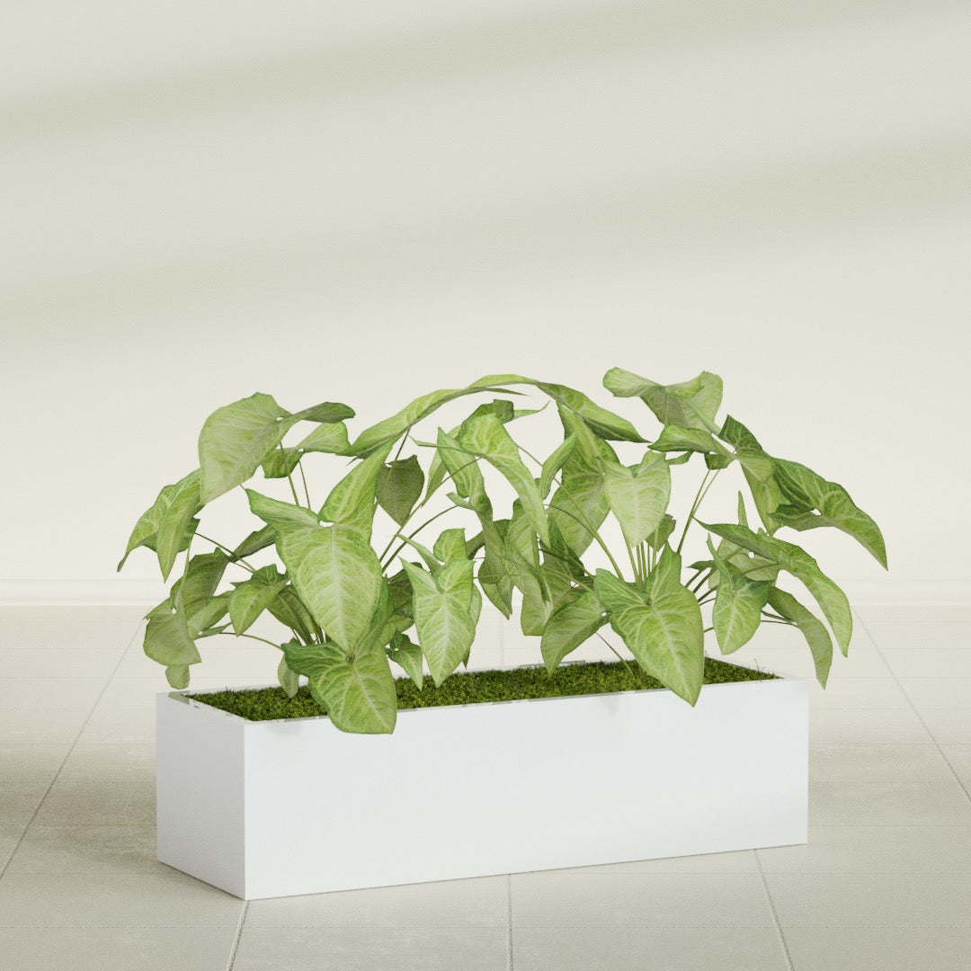 Reade Small Tabletop Rectangle Fiberglass Planter - 18 in x 6.5 in x 5 in - Matte White - Matte White,18.5 in x 6.5 in x 5 in