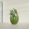 Santa Barbara Medium Round Fiberglass Planter - 23 in x 23 in x 20.3 in - Satin Green - Satin Green,23 in x 23 in x 20 in