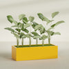 Torino Extra Large Wide Rectangle Fiberglass Planter - 60 in x 24 in x 18 in - Gloss Saffron - Gloss Saffron,60 in x 24 in x 18 in