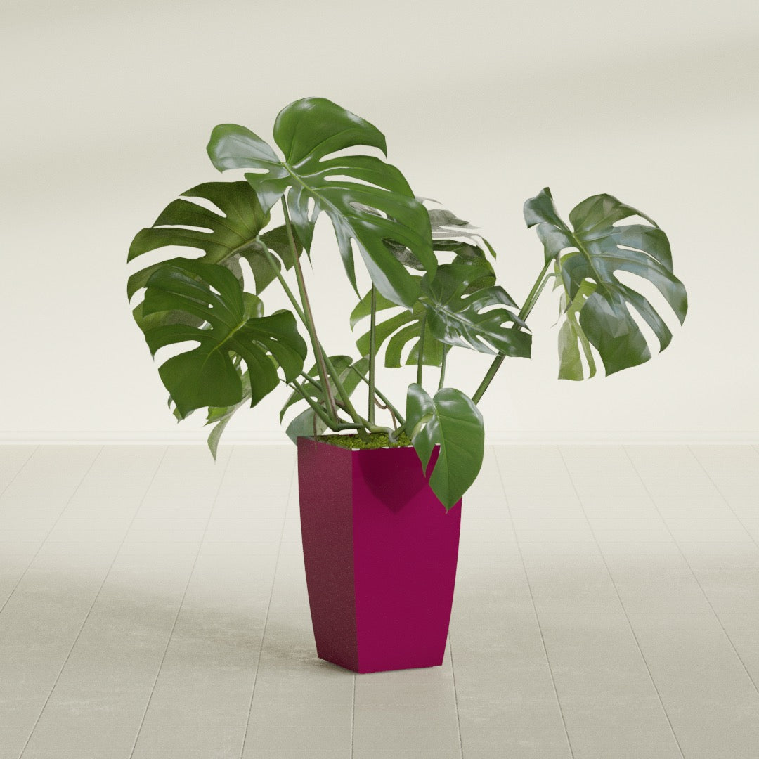 Toulan Medium Tall Tapered Square Fiberglass Planter - 12 in x 12 in x 22 in - Gloss Eggplant - Gloss Eggplant,12 in x 12 in x 22 in