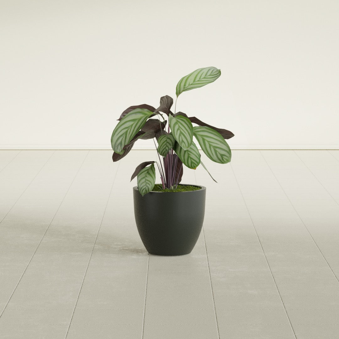Wannsee Small Round Fiberglass Planter - 15 in x 15 in x 13 in - Matte Charcoal - Matte Charcoal,15 in x 15 in x 13 in