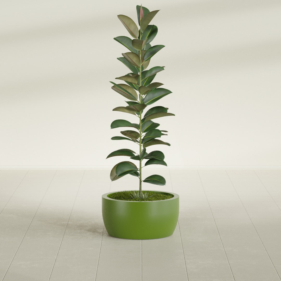 Casablanca Medium Round Low Bowl Fiberglass Planter - 20 in x 20 in x 10 in - Satin Green - Satin Green,20 in x 20 in x 10 in